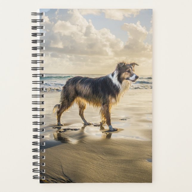 Agenda Border Collie Beach | Cão (Frente)