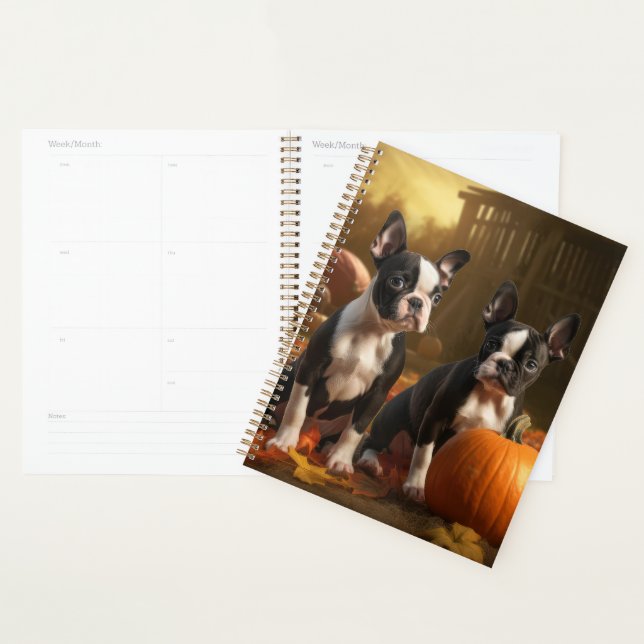 Agenda Boston Terrier Puppy Autumn Delight Pumpkin (Exibição)