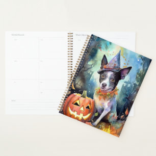 Agenda Bovinos Australianos De Halloween Com Abóboras Ass