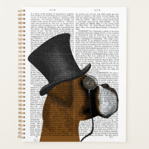 Agenda Boxer, Formal Hound e Chapéu