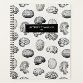 Agenda Brain Anatomy Biology Antique Illustrations