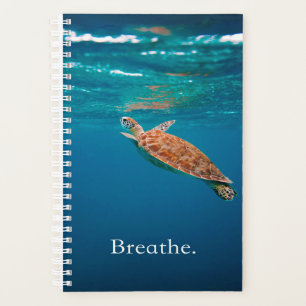 Agenda Breathe Turtle Tartaruga marinha Tartaruga