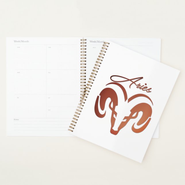 Agenda Bronze toca Ram Zodiac (Exibição)