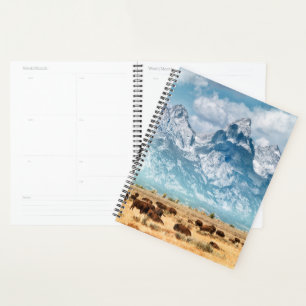 Agenda Buffalo Abaixo das Montanhas Grand Teton