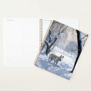 Agenda Bull Terrier Que Neve Natal