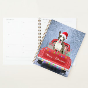 Agenda Bull Terrier sentado na neve no Natal