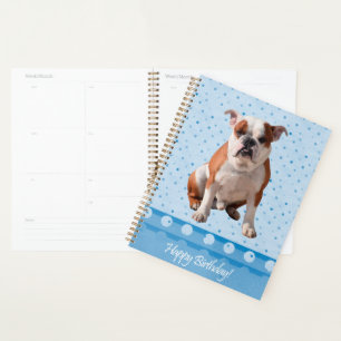 Agenda Bulldog Blue Dots Happy Birthday