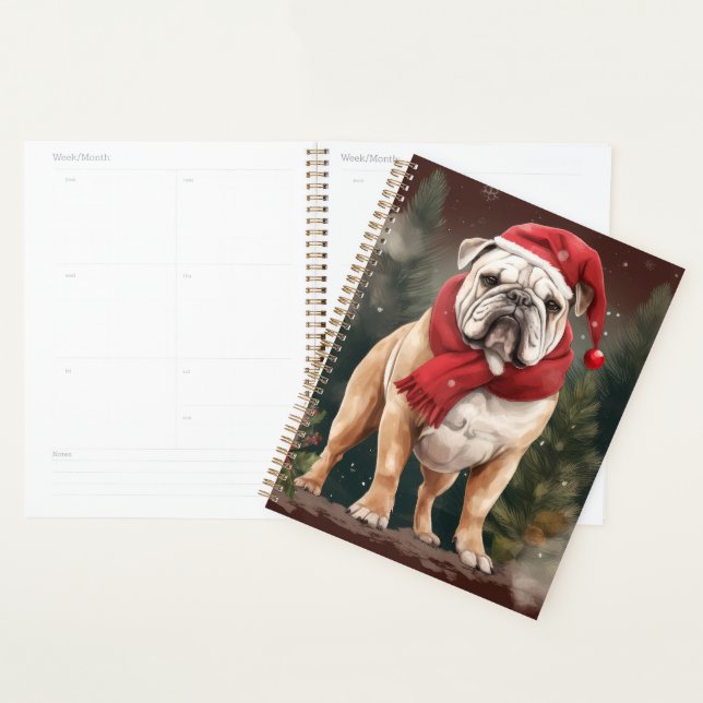 Agenda Bulldog na Neve Natal (Exibição)