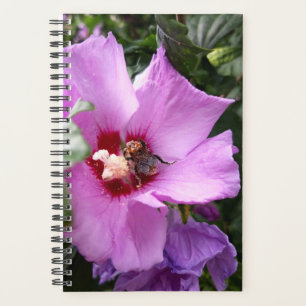 Agenda Bumblebee na Flor de Hibiscus