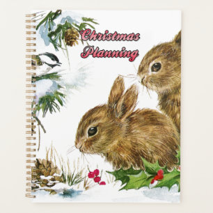 Agenda Bunnies e Bird Aproveitem o Planeador de Natal da