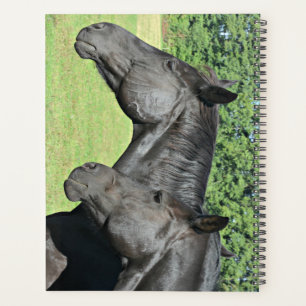 Agenda Cabeças de Cavalo Preto em Perfil Pacífico