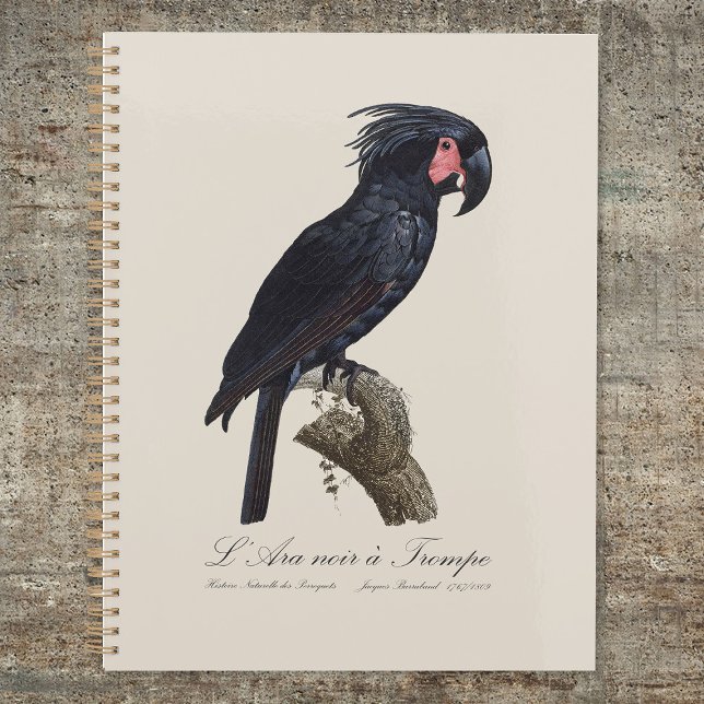 Agenda Cacatua-de-bico-longo, Probosciger aterrimus papag (L' Ara Noir a Trompe / Palm Cockatoo. Planner)