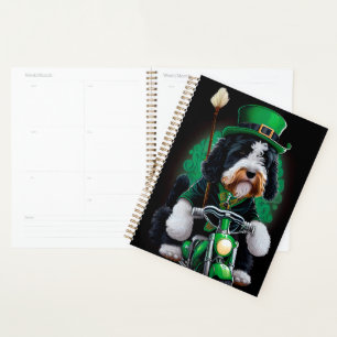 Agenda Cachorro Bernedoodle dirigindo Ruas de bicicleta. 