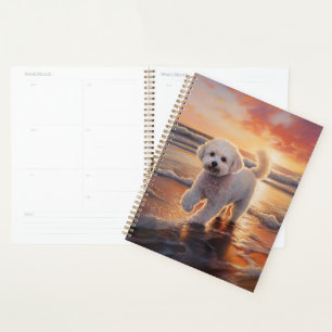 Agenda Cachorro Bichon Frise Sandy Paws no pôr do sol na