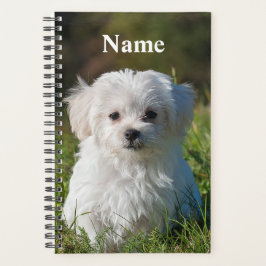 Agenda Cachorro branco branco liso Maltês Cachorro