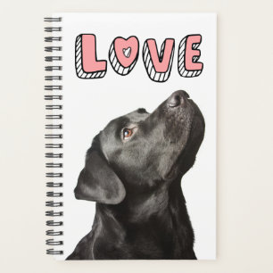 Agenda Cachorro Cachorro Negro Cachorro Cachorro Amor Lab