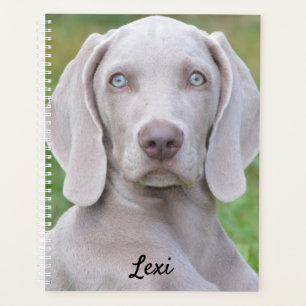 Agenda Cachorro-Cachorro Personalizado do Weimaraner
