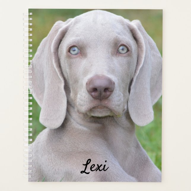 Agenda Cachorro-Cachorro Personalizado do Weimaraner (Frente)
