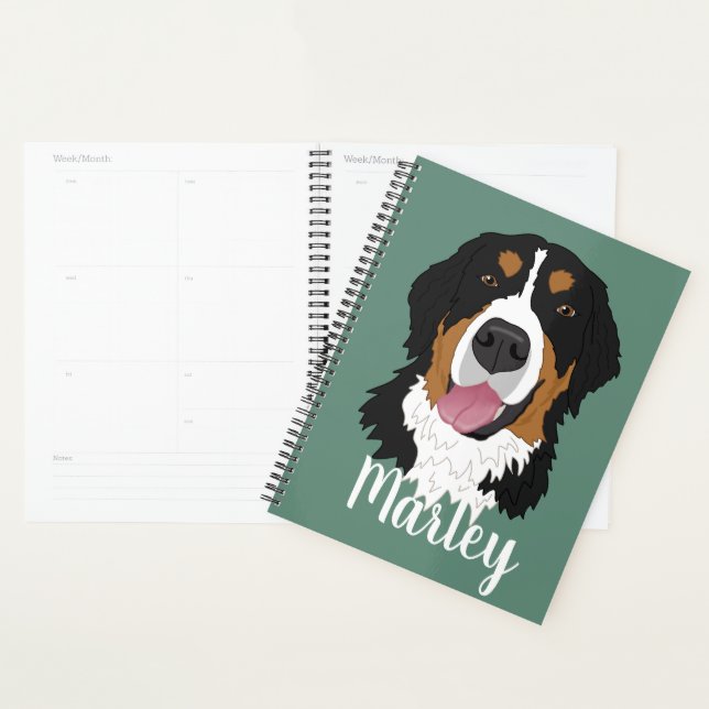 Agenda Cachorro da Montanha Bernese (Exibição)
