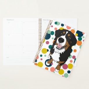 Agenda Cachorro da Montanha Bernese
