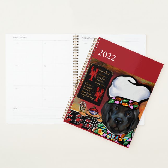 Agenda Cachorro da Terra Nova (Exibição)