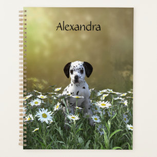 Agenda Cachorro Dalmaciano em Daisies