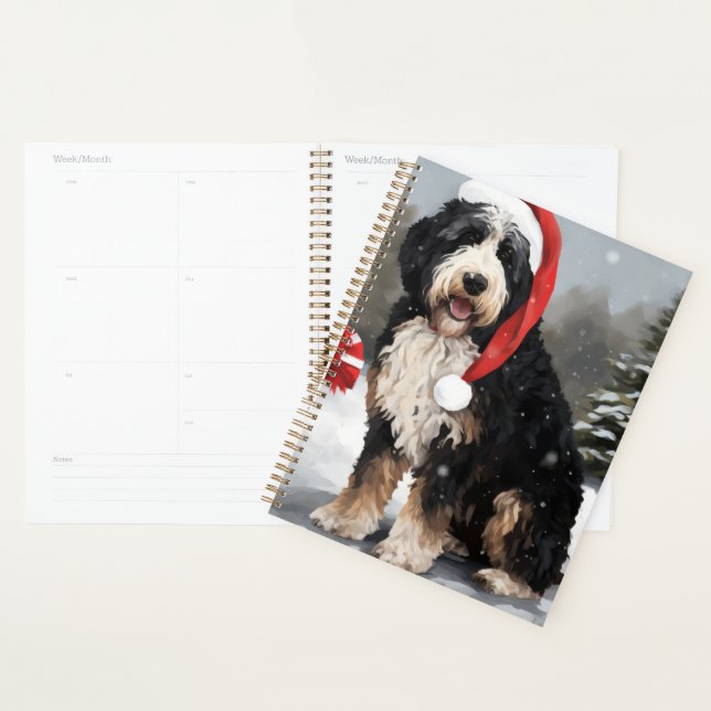 Agenda Cachorro de Bernedoodle no Natal da Neve (Exibição)