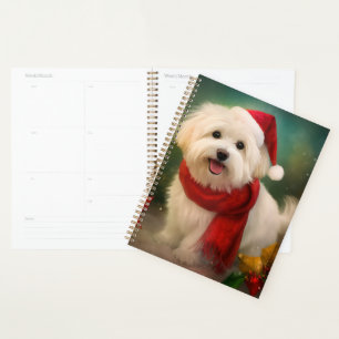 Agenda Cachorro de Coton de Tulear no Natal da Neve
