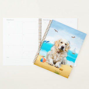 Agenda Cachorro Golden Retriever na Praia