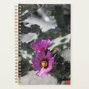 Agenda Cacto Challa em flor