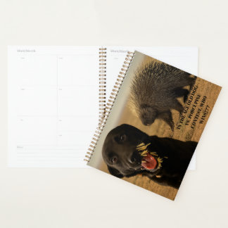 Agenda Caderno Cachorro vs. Porco-espinho