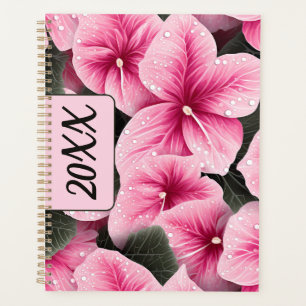 Agenda Caládio Rosa