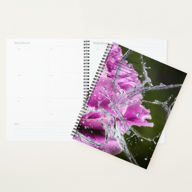Agenda Calendário da Borboleta (Exibição)
