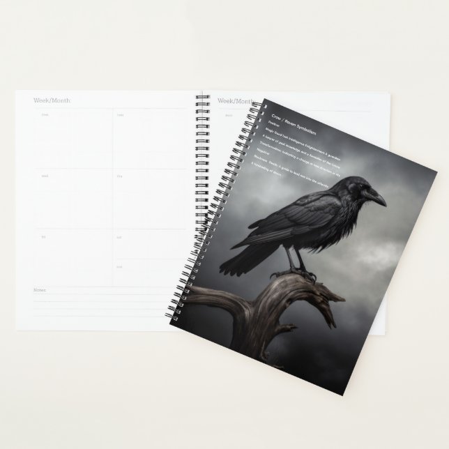 Agenda Calendário de Cortes (Exibição)