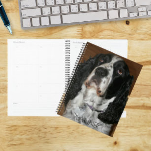 Agenda Calendário de Fotos Pet do Spaniel Inglês