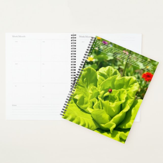 Agenda Calendário de Joaninha (Exibição)