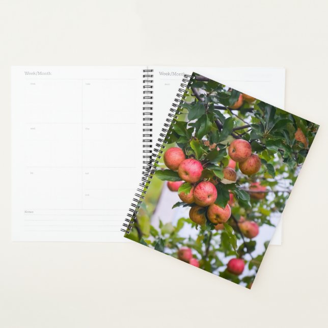 Agenda Calendário do Molho Apple (Exibição)
