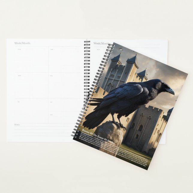 Agenda Calendário do Raven (Exibição)
