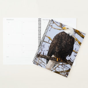 Agenda Calendário do Simbolismo da Águia