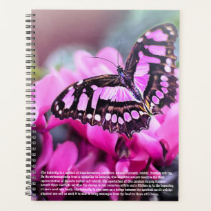 Agenda Calendário do Simbolismo da Borboleta