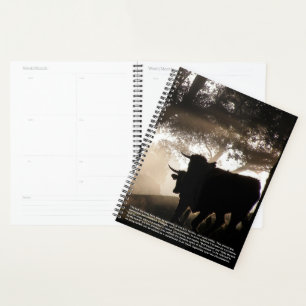 Agenda Calendário do Símbolo Bull