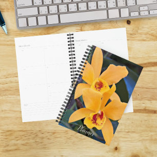 Agenda Calendário Floral das Orquídeas Híbridas Laranj