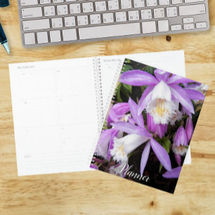 Agenda Calendário Floral Pleione Windowsill Orchids Pl