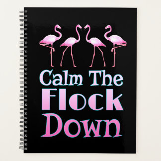 Agenda Calma, Flamingo Engraçado.