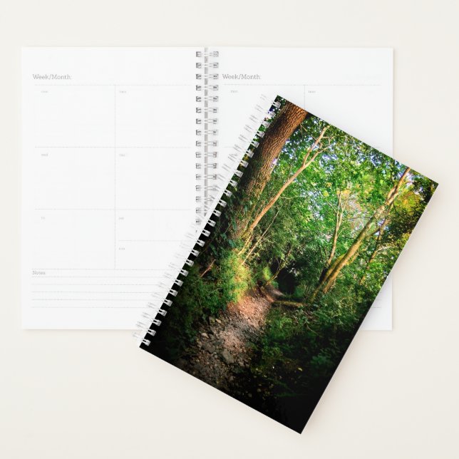 Agenda Caminhando pelas árvores (Exibição)