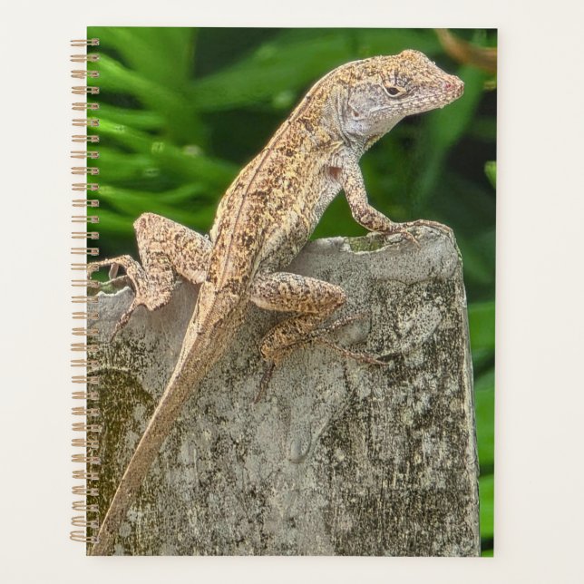 Agenda Camouflage Master (Frente)