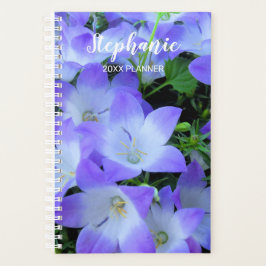 Agenda Campanula Flores Brancas Púrpuras Fotografia