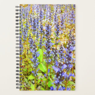 Agenda Campo de Flores Roxas bonito