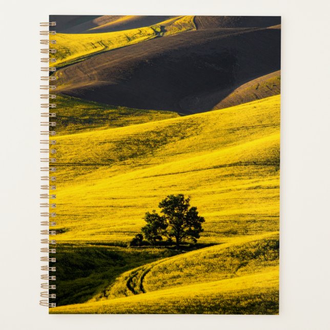 Agenda Campo de prado amarelo no vento (Frente)