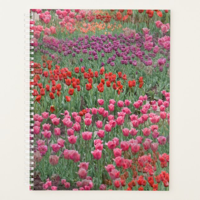 Agenda Campo De Tulipas (Frente)